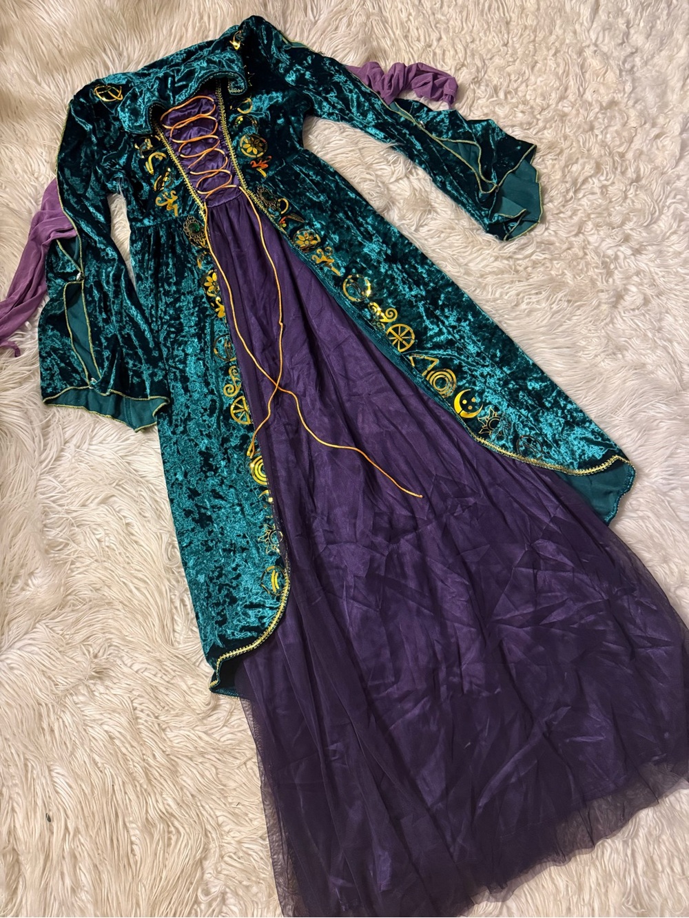 Women’s hocus pocus Wini costume (D2)